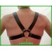CLOSEOUT GatorStrap™ X-Chest Harness BLACK with 4 buckles 1.5 inch wide strap