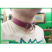 Lagarto Permanente GatorStrap™ Collar with sex bolts