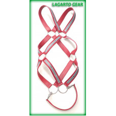 Chap Leather Harness Accent Straps (racing stripes)